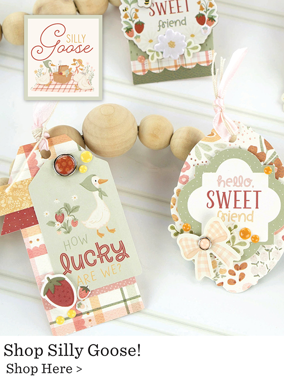 Echo Park Paper Silly Goose Collection