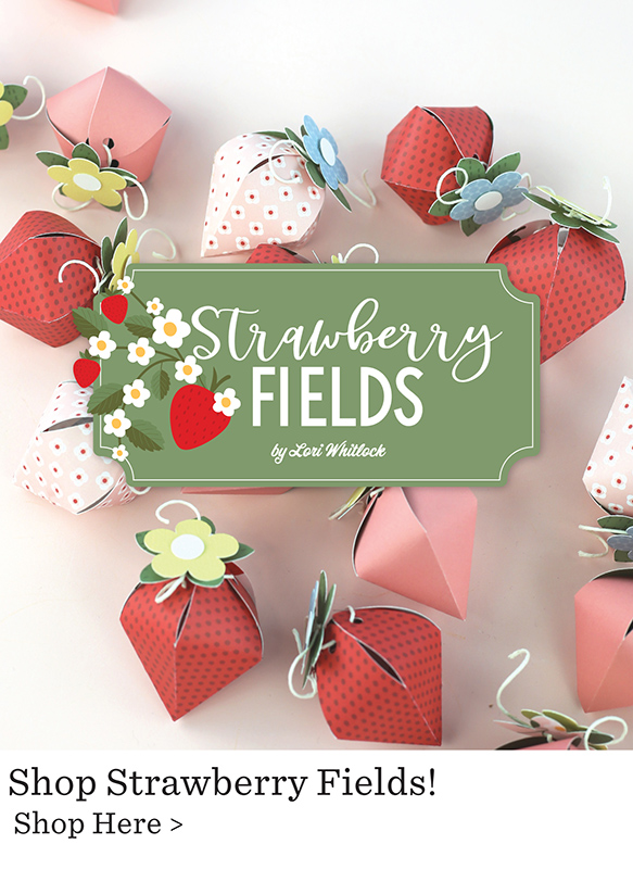 Echo Park Paper Strawberry Fields Collection